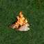 bonfire