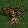 hive